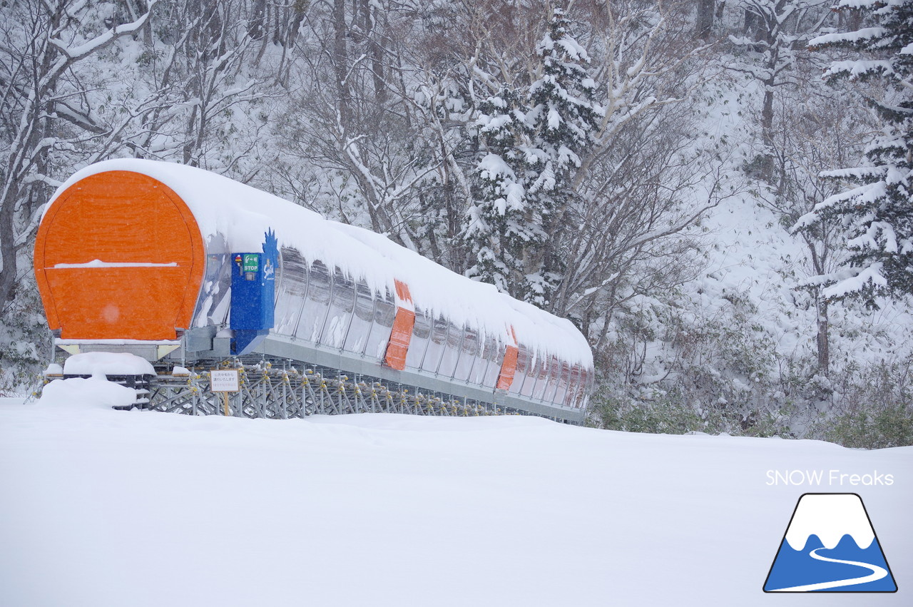 2018-2019 winter ☆パウダースノーで初滑り☆ 北海道札幌市・札幌国際スキー場